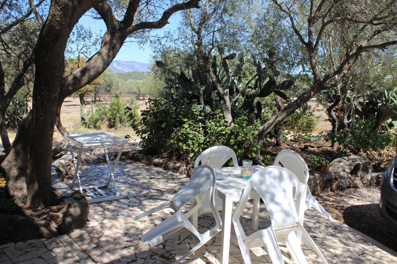 Agriturismo Pira Pinta Dorgali Exteriör bild