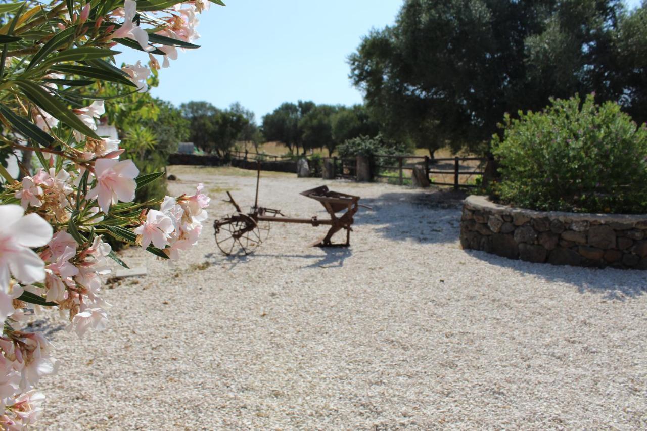 Agriturismo Pira Pinta Dorgali Exteriör bild