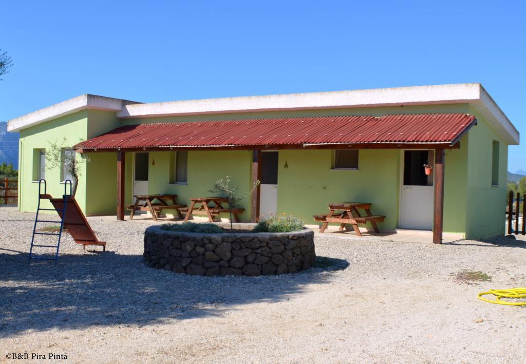 Agriturismo Pira Pinta Dorgali Rum bild