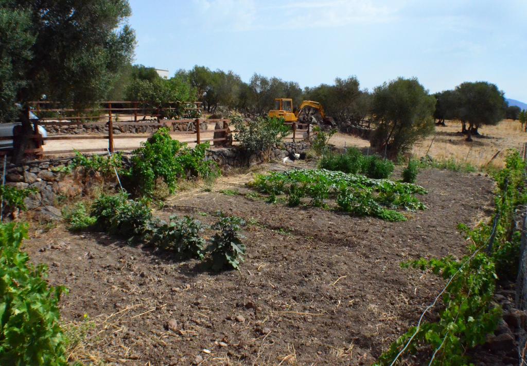Agriturismo Pira Pinta Dorgali Exteriör bild