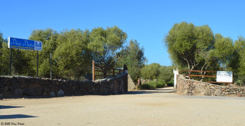Agriturismo Pira Pinta Dorgali Exteriör bild