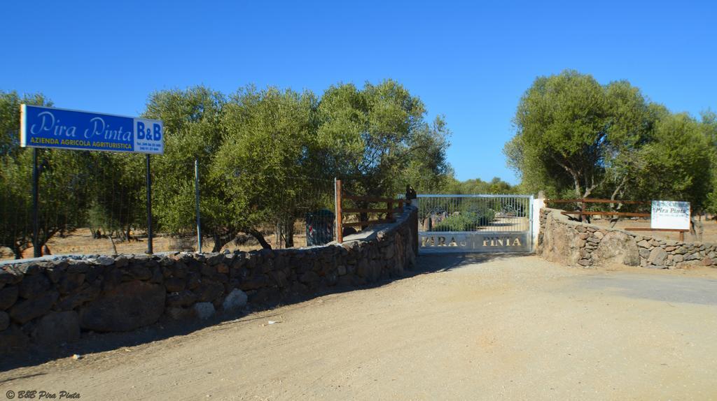 Agriturismo Pira Pinta Dorgali Exteriör bild